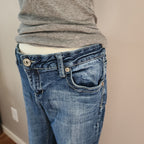 Y2K Vanity Mid Rise Medium Wash Cathedral Embellished Bootcut Denim Jeans